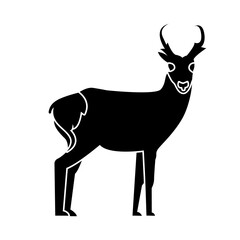 pronghorn of wild animal solid icon set