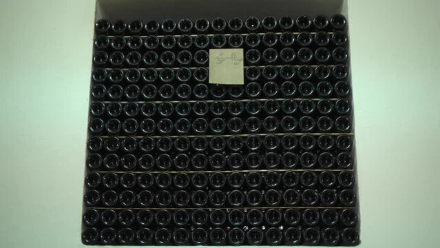 Old Aged Wine Bottles Storage in Dark Rustic Cellar Basement, Stack of Lying Dir
