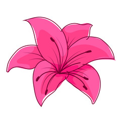 lily flower flat vector illustration logo icon clipart isolated on white background