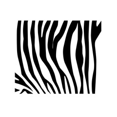 Zebra Pattern 