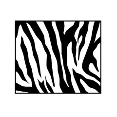 Zebra Pattern 