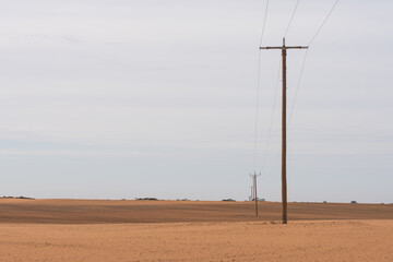 Powerline in the Desert