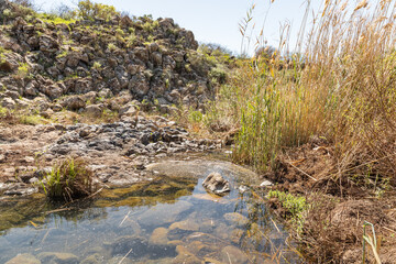 The Zavitan  stream flows into the Yehudia National Natural Park in northern Israel