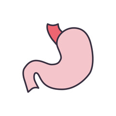 Stomach Vector Icon. Isolated on the White Background. Editable EPS file. Vector illustration