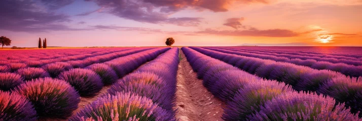 Schilderijen op glas photography place with beautiful purple lavender fields at sunset. © JKLoma