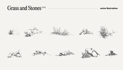 High detail hand drawn vector illustration of grass and stones, realistic drawing, sketch