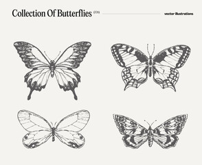 Set of butterflies, realistic drawing, sketch - 639758839