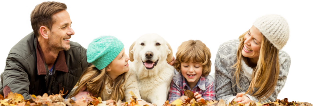 Digital png photo of caucasian family with dog on fall leaves on transparent background