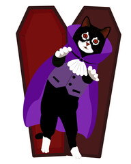 Frightening Dracula Cat: Fangs and Coffin Chills
