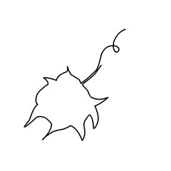 One Line Leaf Drawing 