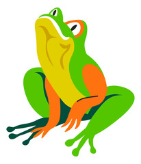 Tropical frog, exotic wildlife reptile animals