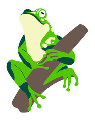 Obraz premium Frog sitting on branch, exotic reptile animal