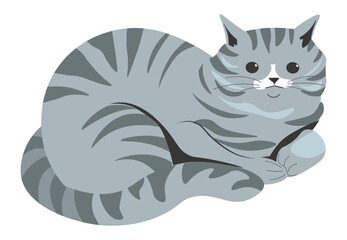 Fototapeta na wymiar Grey kitten, cat character sitting or napping