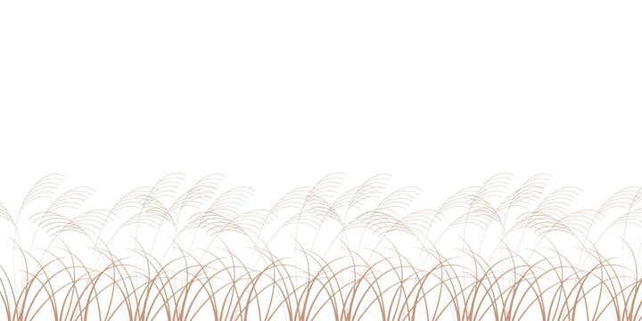 ススキ　秋　十五夜　背景