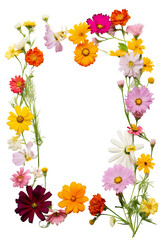 Fototapeta premium Beautiful summer garden flowers. Cosmos, aster, coreopsis, zinnia, and daisy flower frame border isolated on a white background. Creative layout