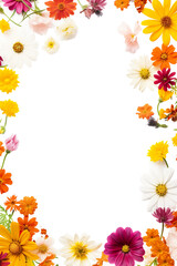 Obraz premium Beautiful summer garden flowers. Cosmos, aster, coreopsis, zinnia, and daisy flower frame border isolated on a white background. Creative layout