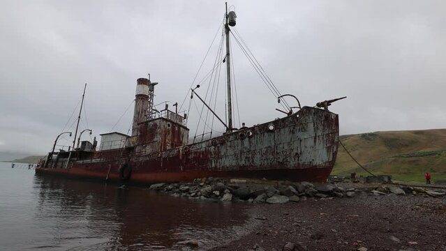 The ruined ship "Petrel" beached at Grytviken, South Georgia. After serving as a sealing vessel Petrel was beached in Grytviken, South Georgia.