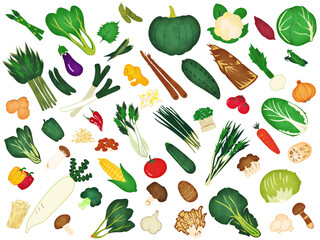野菜ときのこの水彩風イラスト