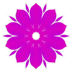 Beauty vector graphics of beautiful  gradient petals art with a luxurious and dynamic design
