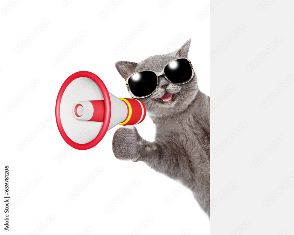 Poster happy cat wearing sunglasses talks into megaphone and looks from behind empty white banner. isolated