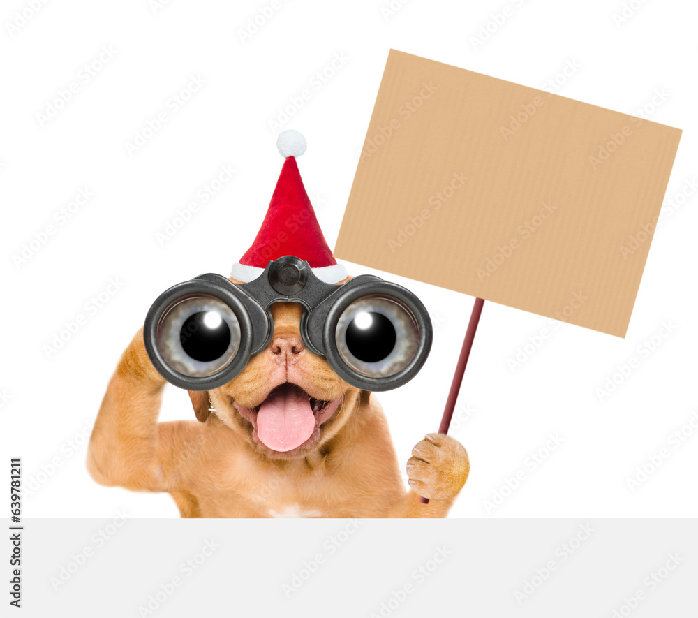 Poster happy mastiff puppy wearing santas hat looks through binoculars above empty white banner and shows e
