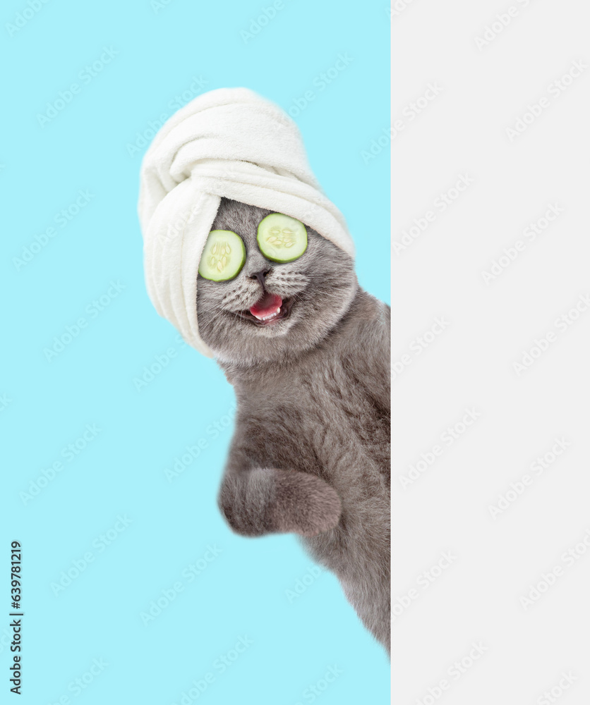 Aufkleber Happy cat with towel on it head and with  pieces of cucumber on it eyes stands behind empty white banner. isolated on blue background
