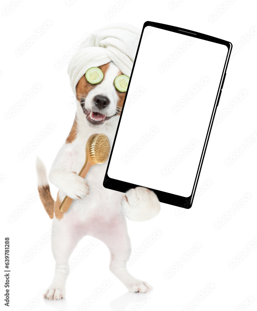 Poster funny jack russell terrier puppy with towel on it head and with pieces of cucumber on it eyes holds 