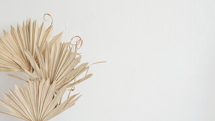 Dried beige palm leaves on empty neutral white wall background. Floral aesthetic boho composition