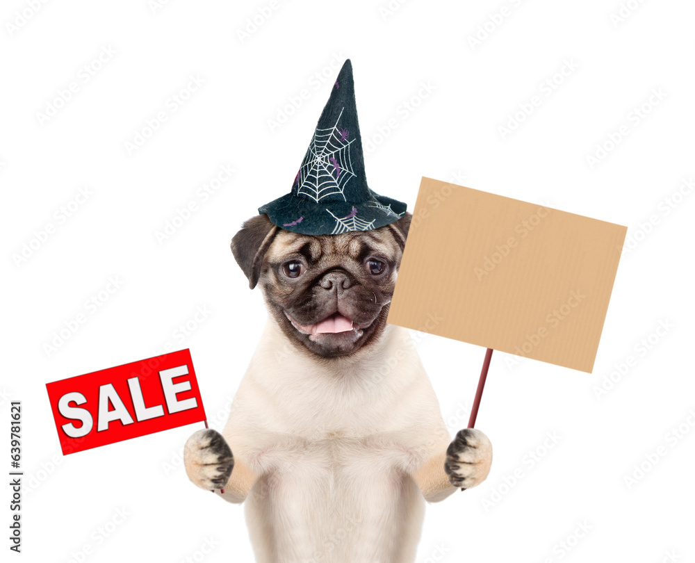 Poster pug puppy wearing hat for halloween holds empty placard and shows signboard with labeled 