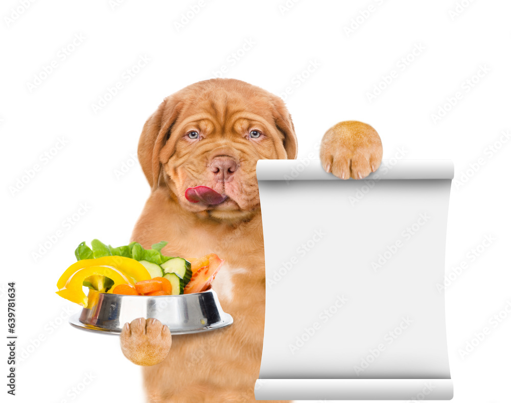Poster licking lips mastiff puppy holds bowl of vegetables and shows empty list. isolated on white backgrou