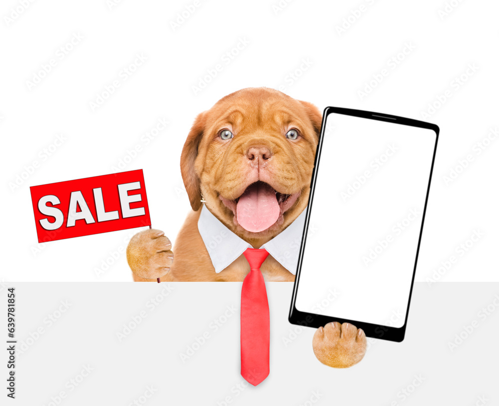 Poster smart mastiff puppy wearing necktie shows signboard with labeled 
