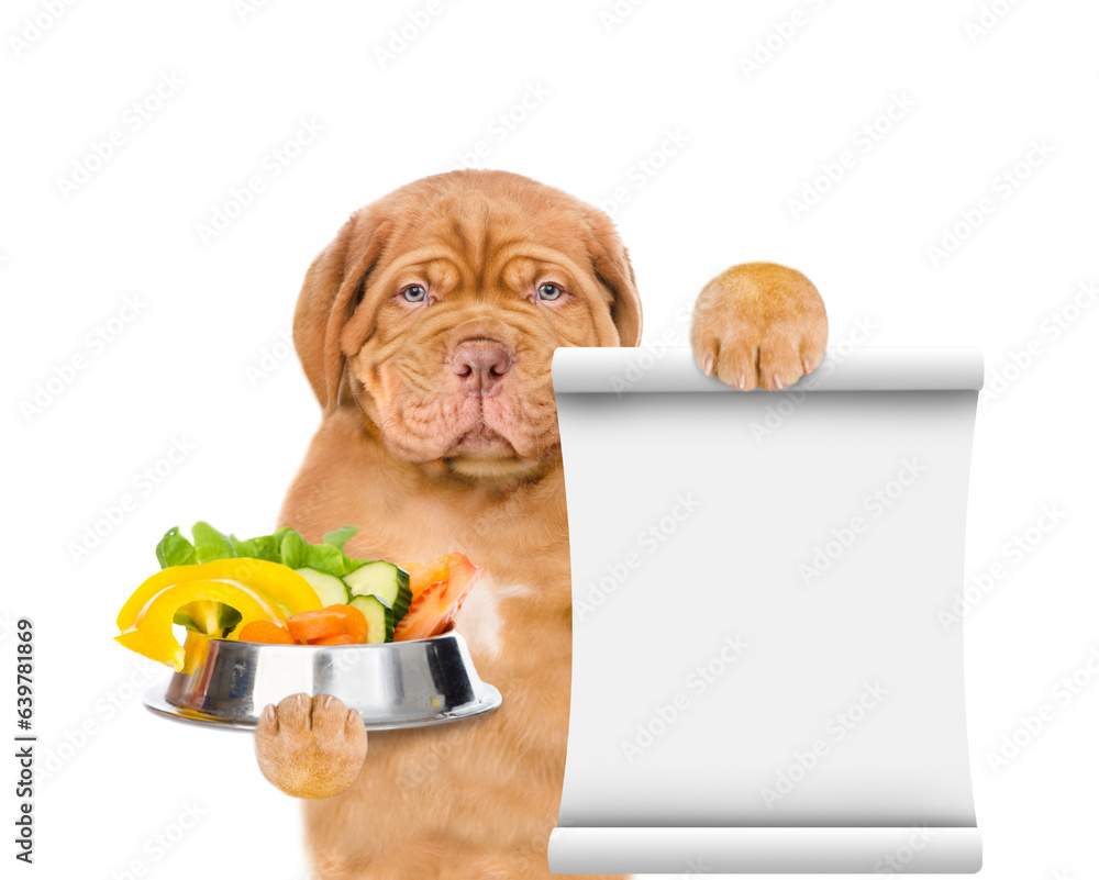 Poster serious mastiff puppy holds bowl of vegetables and shows empty list. isolated on white background