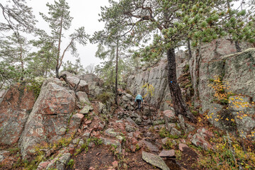 Fototapeta premium hiking footpath in forest between trees in Skuleskogen National Park in Sweden in northern Europe Hoga Kusten