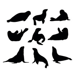 Sea calf seal silhouette set stencil templates