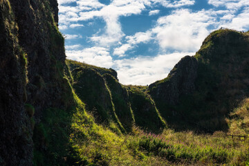 Stunning plant-covered cliffs on the east coast of Scotland, Aberdeen, UK.