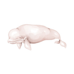 watercolor white whale illustration