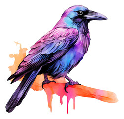 Watercolor hand drawn halloween raven isolated.