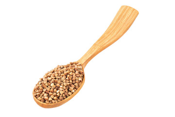 Wooden spoon of roasted buckwheat isolated on white background. An ancient gluten-free grain for a healthy diet. File contains clipping path.