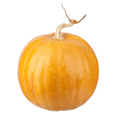 Pumpkin for Halloween. Pumpkin isolated on white background. File contains clipping path.