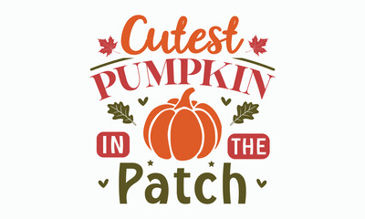 Cutest pumpkin in the patch svg, Fall svg, thanksgiving svg bundle hand lettered, autumn , thanksgiving svg, hello pumpkin, pumpkin vector, thanksgiving shirt, eps files for cricut, Silhouette
