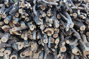 a stack of firewood