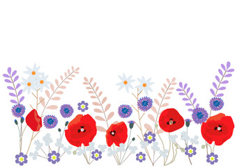 Poppies, cornflowers, daisies and other wild flowers on a transparent background for wallpapers, covers, banners, borders