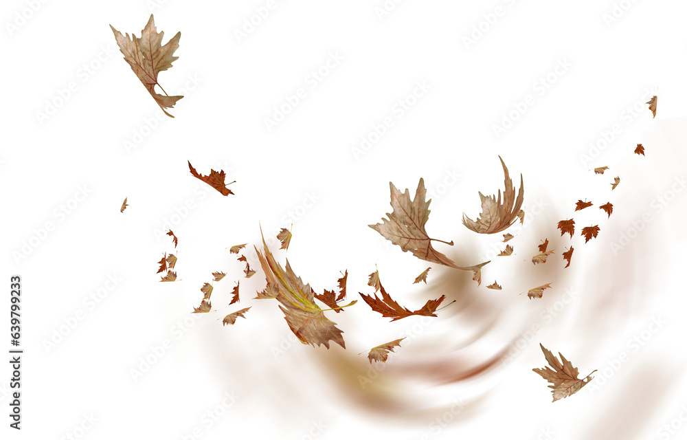 Wall mural leaf leaves wind autumn moving weather background - 3d rendering