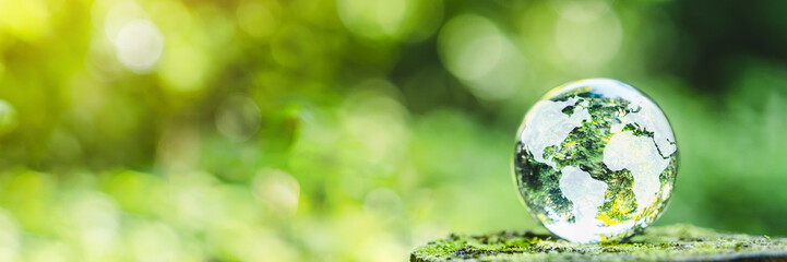 Globe Glass on green Moss in forest Environment, save world, earth day and conservation Concept.