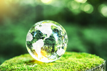 Globe Glass on green Moss in forest Environment, save world, earth day and conservation Concept.