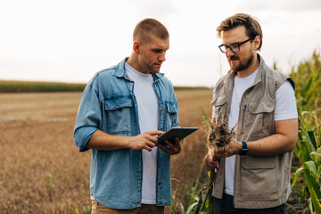 Agronomists are inspecting root with a help of a digital tablet.