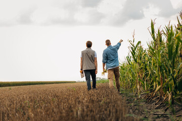 Back view of two men walking on farmland.