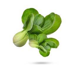 Pak Choi isolated on transparent background (.PNG)