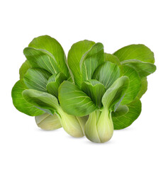 Pak Choi isolated on transparent background (.PNG)