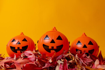 Halloween orange pumpkins on a yellow studio background, decorated with red autumn leaves